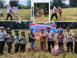 Screenshot_2026-03-09-14-39-43-184_photoeditor.layout.collagemaker-edit