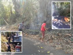 Screenshot_2026-08-02-12-13-03-081_photoeditor.layout.collagemaker-edit